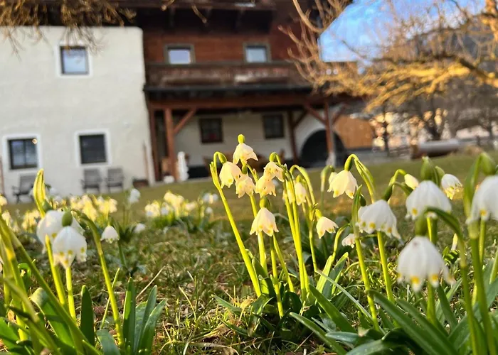 Abendrot 公寓 皮森多夫