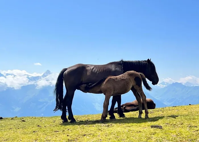 Abendrot Διαμέρισμα